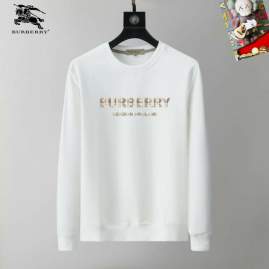 Picture of Burberry Sweatshirt _SKUBurberryM-3XL25tr21630771